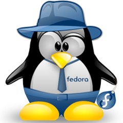 Instalare Server